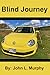 Blind Journey