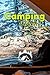 Camping Journal