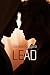 Lead (GRAY #3)