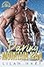 Daring Mountain Man (Seduction Summit Lodge, #6)