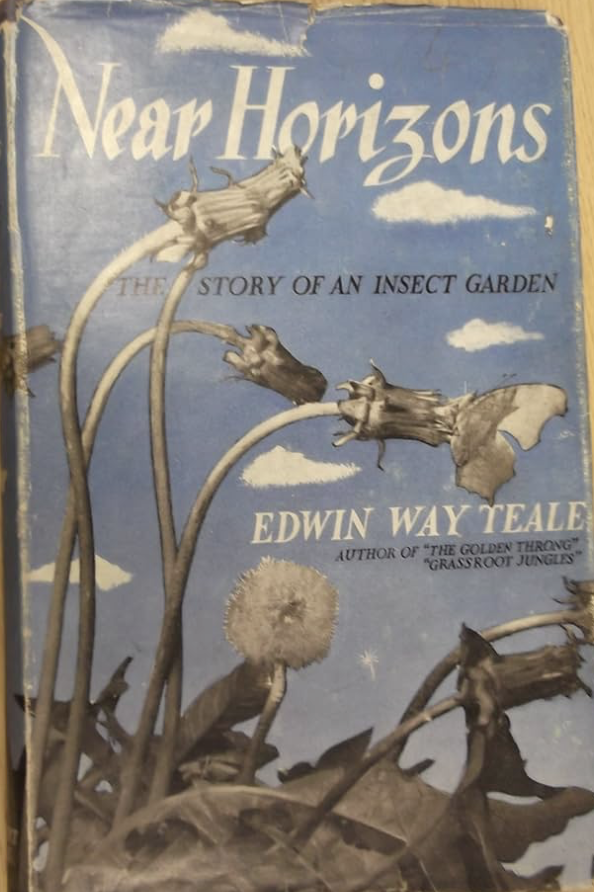 Near horizons: The story of an insect garden