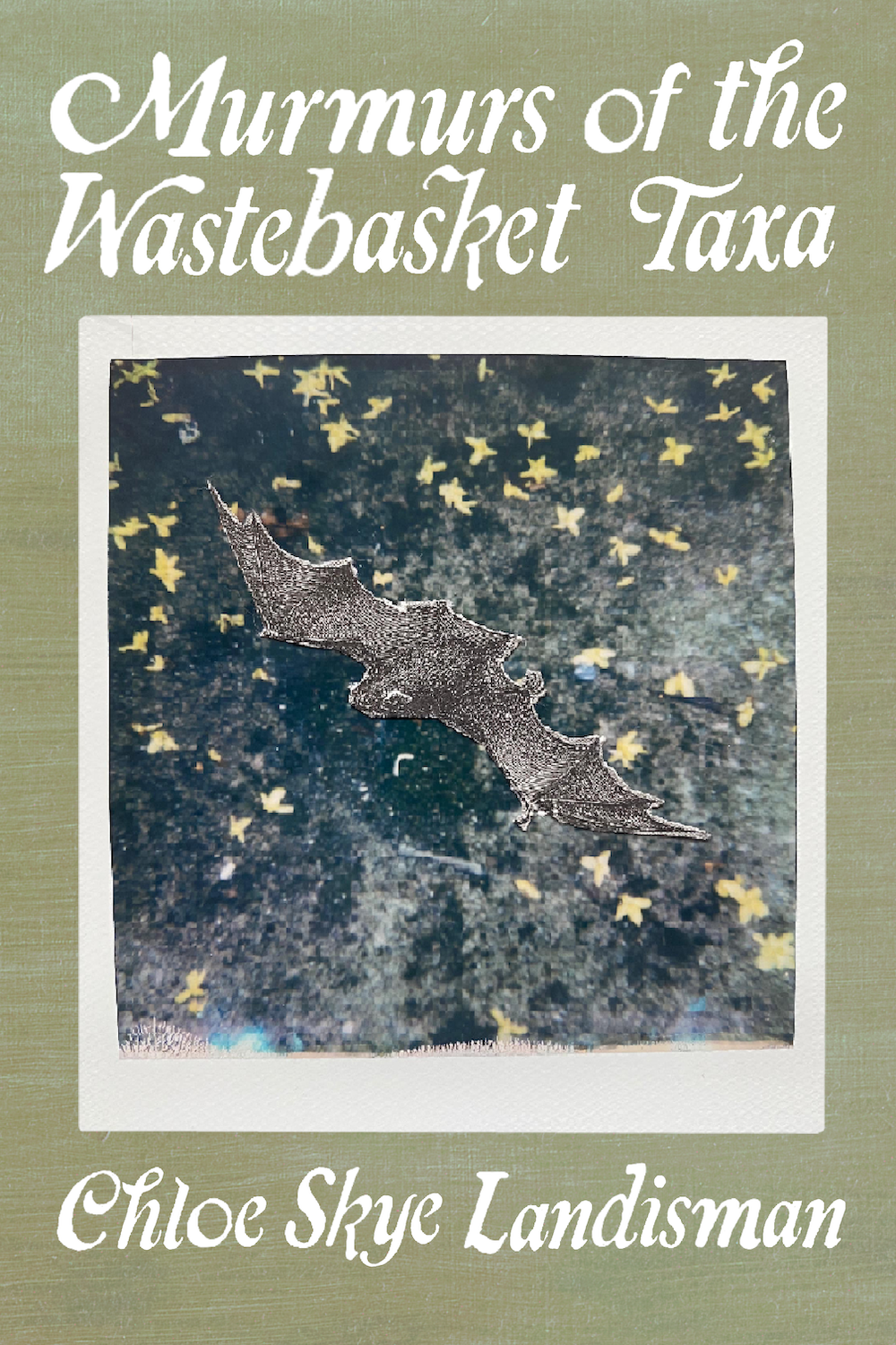 Murmurs of the Wastebasket Taxa