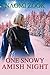 One Snowy Amish Night by Naomi Zook