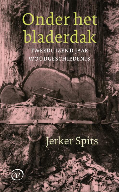 Onder het bladerdak: Tweeduizend jaar woudgeschiedenis (Paperback)