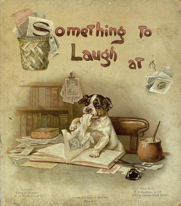 Something to laugh at (Hardcover)