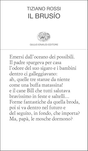 Il brusío (Italian Edition)