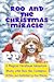 Roo and the Christmas Mirac...