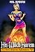His Witch Harem: Part Three (A Men's Harem Adventure)