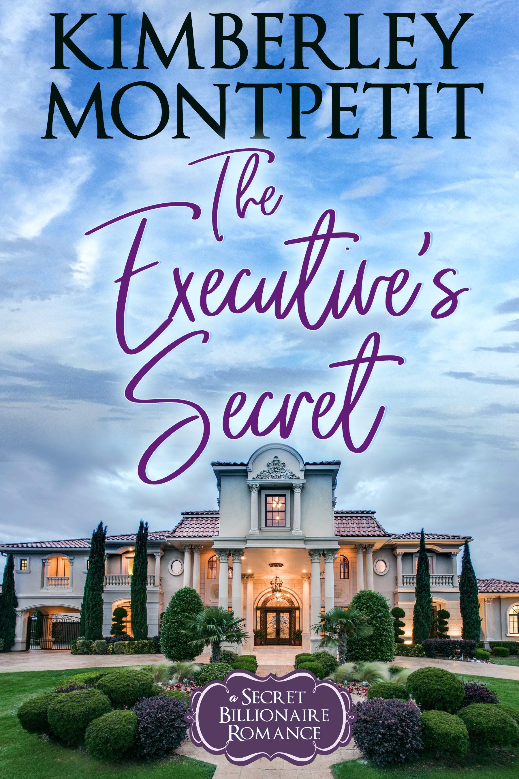The Executive's Secret (Secret Billionaire #2)