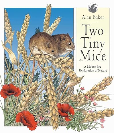Two Tiny Mice (Hardcover)