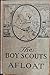 The Boy Scouts Afloat