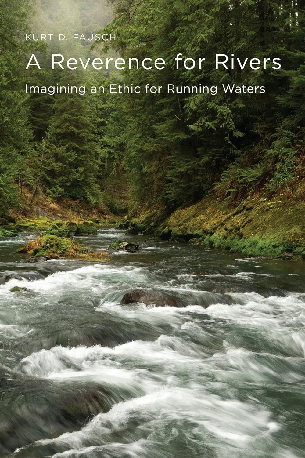 A Reverence for Rivers: Imagining an Ethic for Running Waters