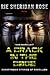 A Crack in the Code: Stories of Cybertronic Rebellion