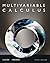 Calculus Multivariable (Available 2010 Titles Enhanced Web Assign)
