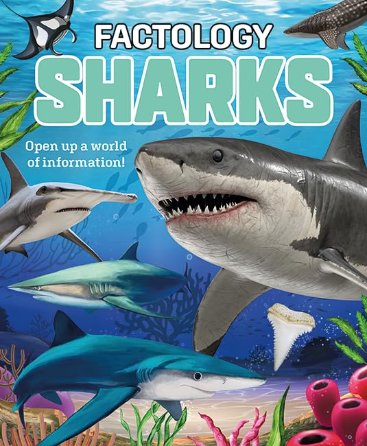 Factology: Sharks: Open Up A World of Information! (Hardcover)