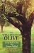 THE WELL DRESSED OLIVE: A Trip Back in Time and Dreams Fulfilled