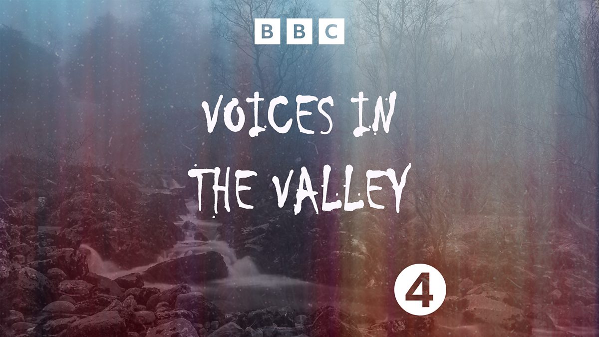 Voices in the Valley