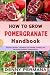 The Pomegranate Grower’s Handbook by Denny Permana