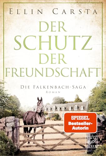 Der Schutz der Freundschaft (Die Falkenbach-Saga 11) (German Edition)