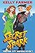 Secret Spark (Vector City S...