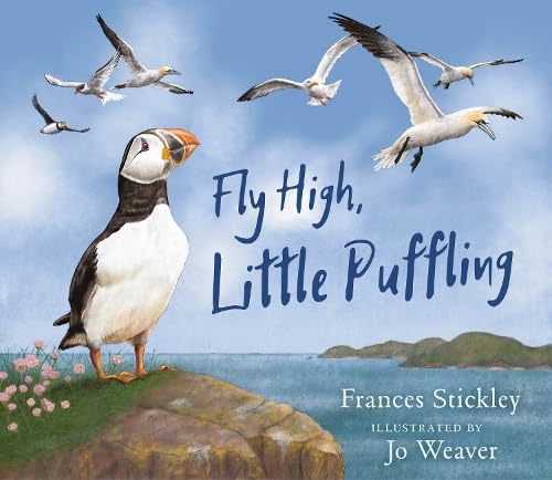 Fly High, Little Puffling (Paperback)