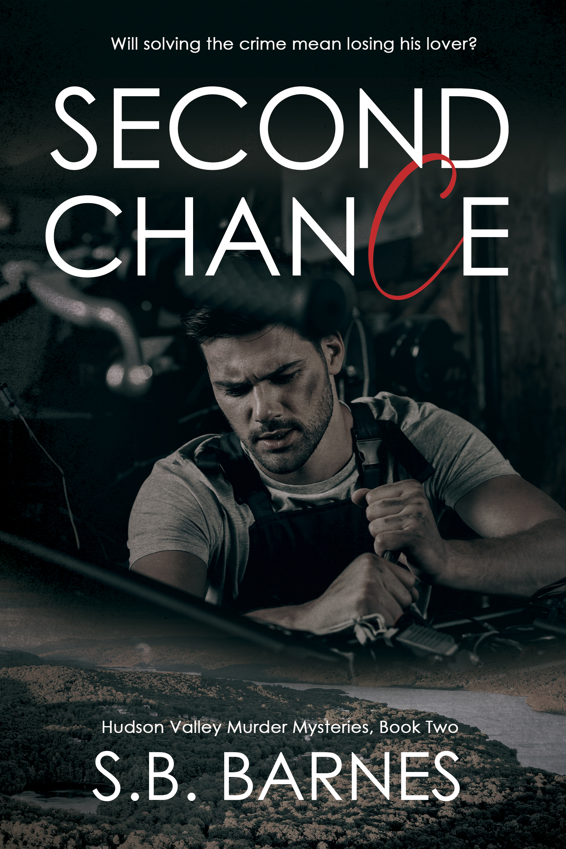 Second Chance (Hudson Valley Murder Mysteries, #2)