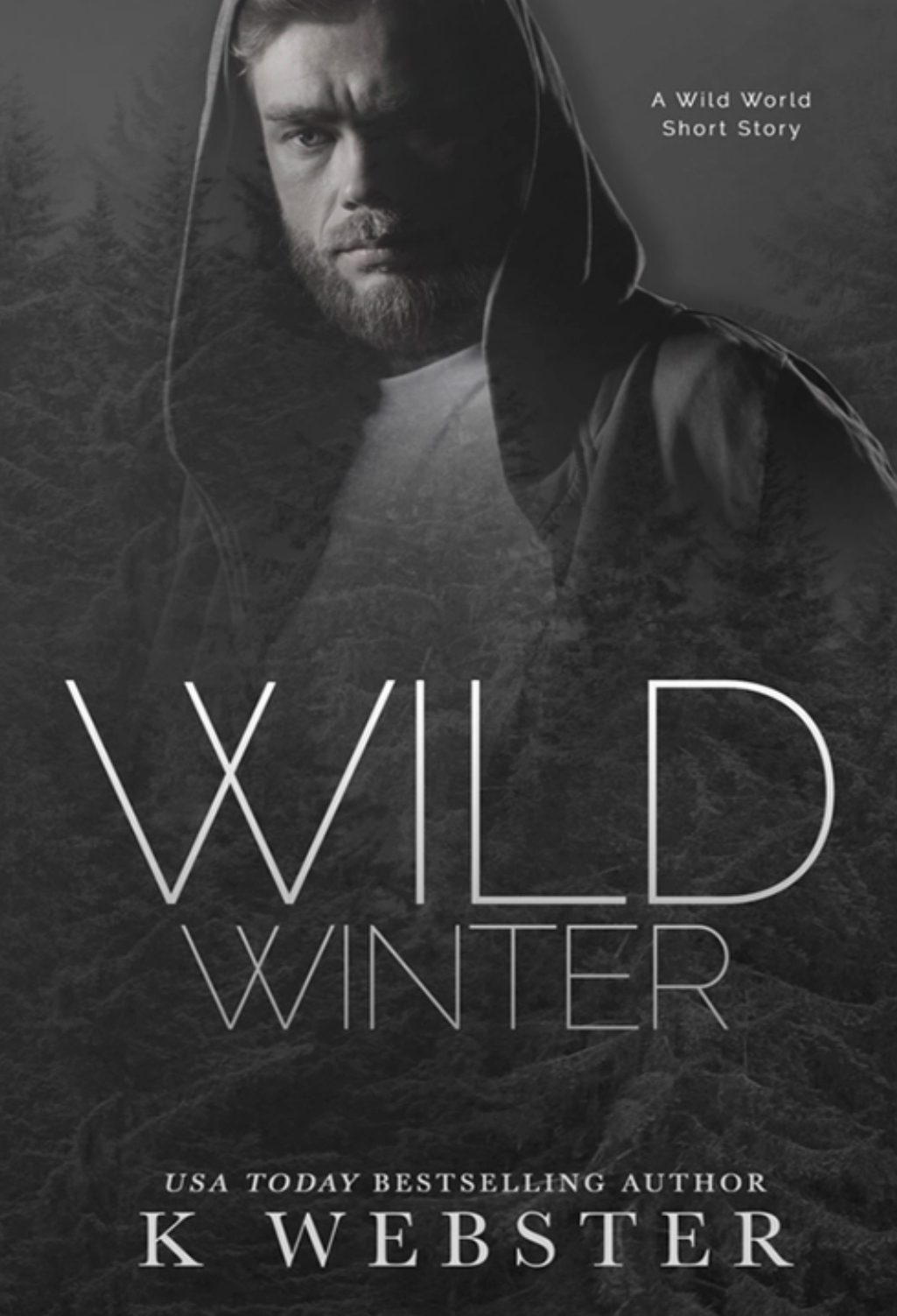 Wild Winter (A Wild World Novella)