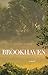 Brookhaven: a novel