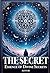 The Secret by Ali Uçar