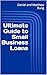 Ultimate Guide to Small Business Loans (Bigger Bottom Line Ultimate Small Business Guide Books)