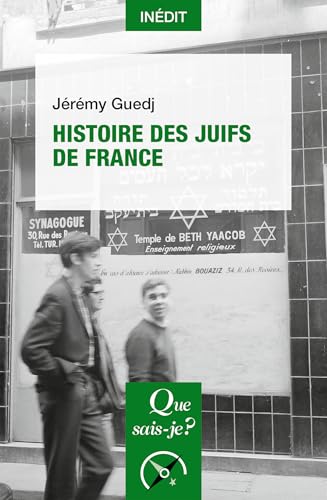 Histoire des Juifs de France (French Edition)