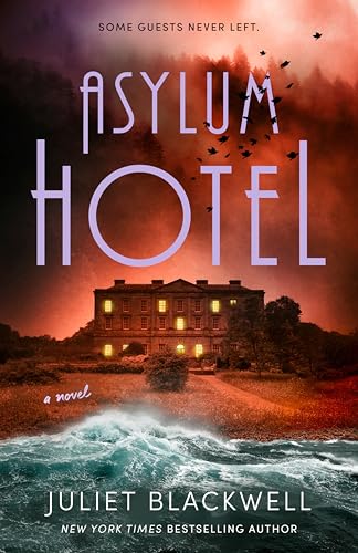 Asylum Hotel (Paperback)