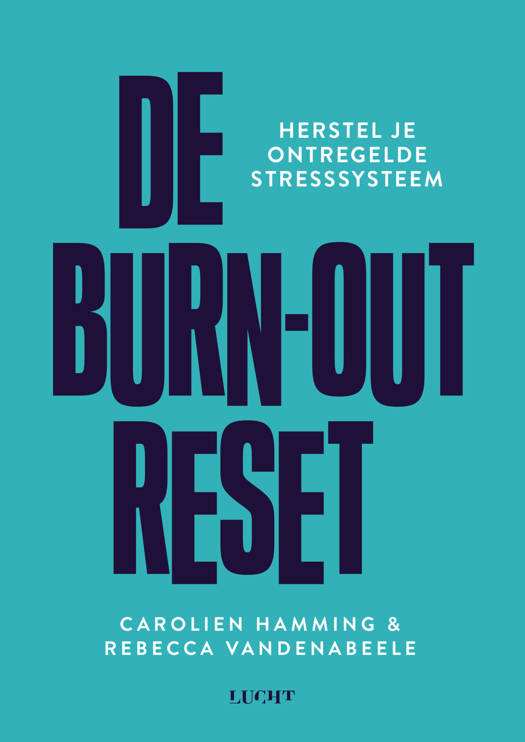 De burn-out reset (Paperback)