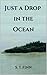 Just a Drop in the Ocean: A...