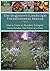 The Beginner’s Landscape Tr...