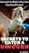 Secrets to Catch a UniCorn:...