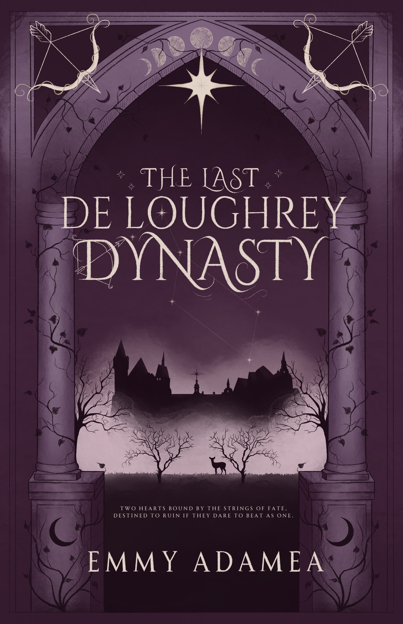 The Last De Loughrey Dynasty (Paperback)