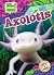 Axolotls