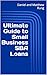 Ultimate Guide to Small Business SBA Loans (Bigger Bottom Line Ultimate Small Business Guide Books)