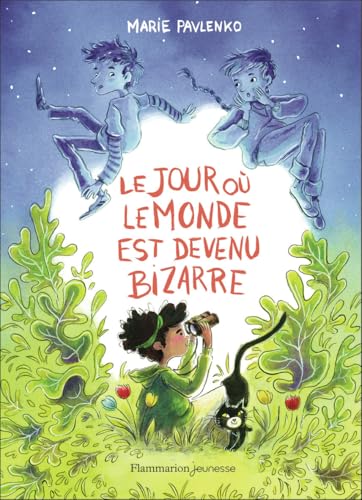 Le jour où le monde est devenu bizarre (Paperback)