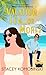 Vacation Fun...or More? by Stacey Komosinski