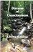 Streams of Consciousness: A...