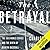 The Betrayal: the 1919 World Series and the Birth of Modern Baseball
