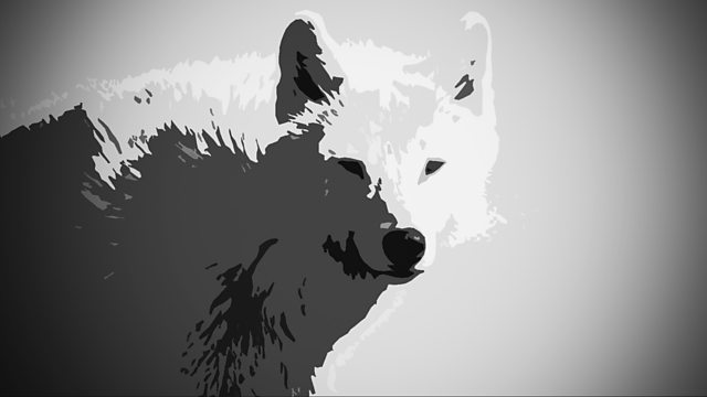 The Wolves of Willhoughby Chase