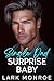 Single Dad Surprise Baby by Lark Monroe