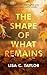 The Shape of What Remains