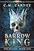 Barrow King - The Realms Book One: An Epic Progression Fantasy LitRPG Novel