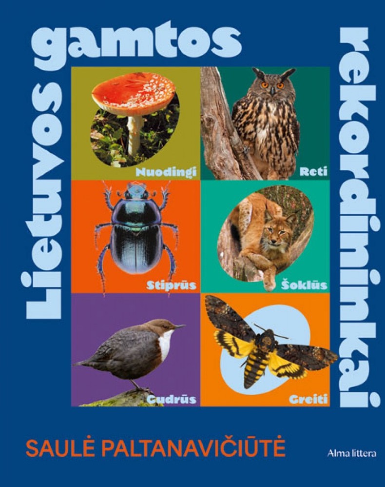 Lietuvos gamtos rekordininkai