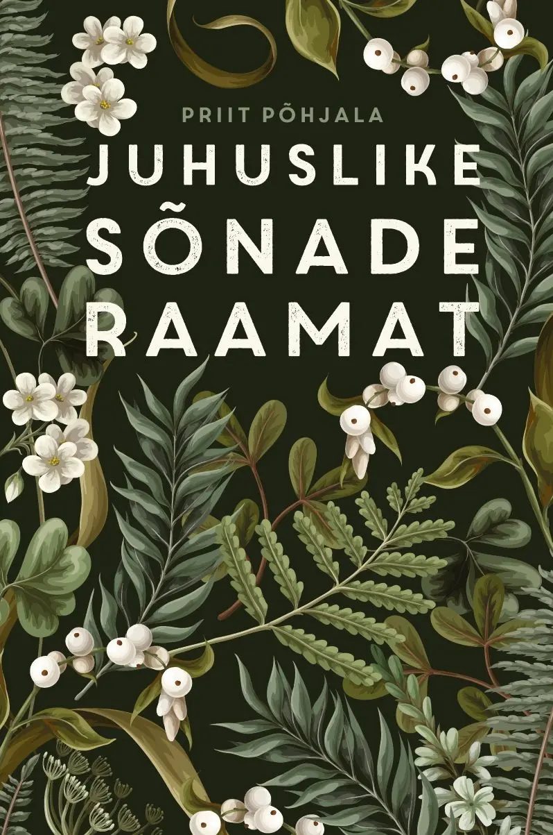 Juhuslike sõnade raamat (Hardcover)