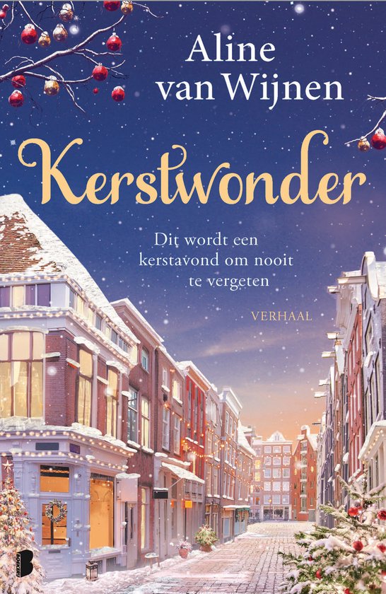 Kerstwonder (ebook)
